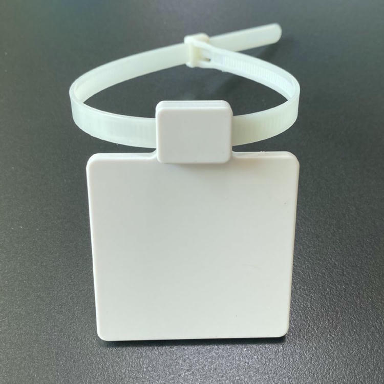 ภาพด้านหน้าแสดง RFID zip tie แท็ก รุ่น Z5555-1 ล็อกเป็นห่วงเรียบร้อยโดยแผงฉลากสี่เหลี่ยม facing forward บนโต๊ะสีเข้ม