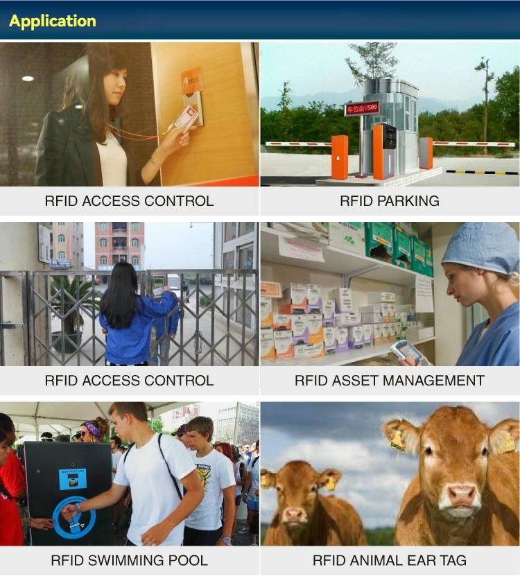 ภาพนี้แสดงภาพรวมการใช้งานสำหรับแท็กตะปู RFID NAIL06-5 รวมถึงการควบคุมการเข้าถึง ที่จอดรถ การจัดการทรัพย์สิน และการติดตามสัตว์