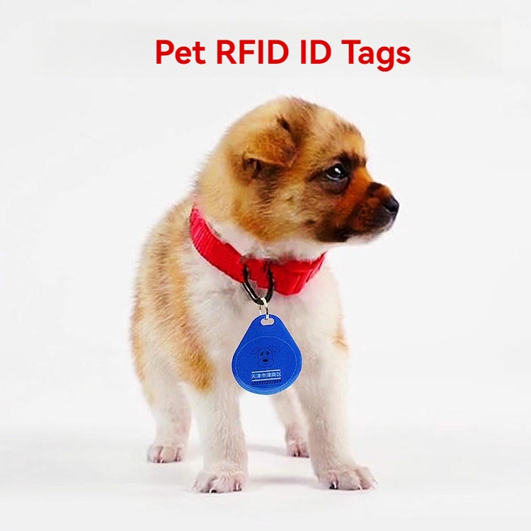 4) ภาพนี้แสดงแท็กสัตว์เลี้ยง RFID พร้อม QR และแอประยะตรวจจับ 40–80 ม. โดยเน้นตัวเรือน ABS อีพ็อกซี โครงสร้างกันน้ำและฝุ่น และโครงสร้างที่แข็งแรงทนทาน สำหรับการระบุตัวสัตว์และงานปศุสัตว์ และการติดตั้งกลางแจ้งและบนพื้นผิวงานก่อสร้าง.