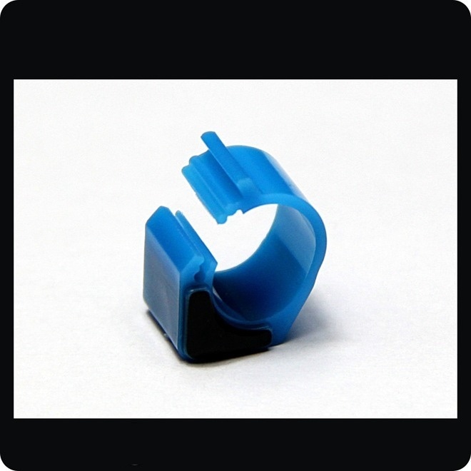 ภาพนี้แสดงสายรัดขา RFID รุ่น F-007 สีแดงเพียงเส้นเดียว แสดงตัวเลือกสีอีกแบบสำหรับการระบุตัวนกพิราบ
