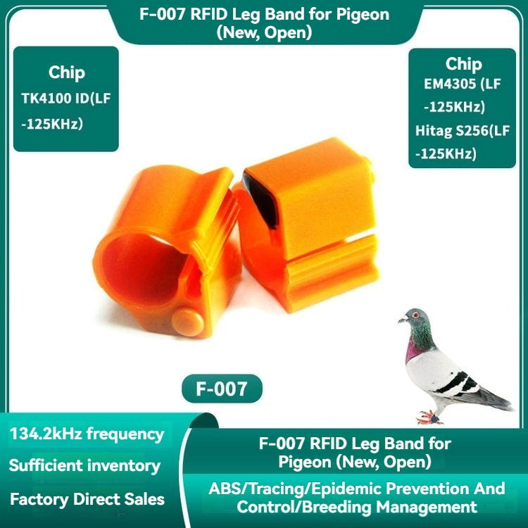 ภาพนี้แสดงการใช้งานจริงของปลอกขา RFID รุ่น F-007 ที่ติดกับนกพิราบในสภาพโรงเลี้ยง