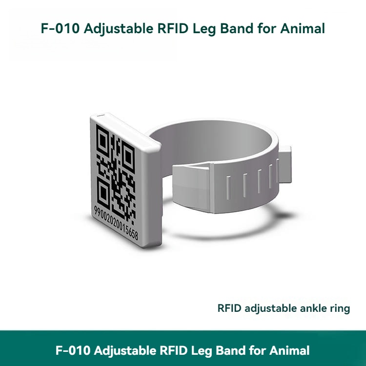 6) ภาพรวมผลิตภัณฑ์หลายชิ้นของห่วงขาสัตว์ปีก UHF RFID ปรับได้กันน้ำ IP67 F010 โดยเน้นหลายชิ้น และรูปแบบการจัดเรียงและบรรจุภัณฑ์ สำหรับการตรวจนับและติดตามสินค้าคงคลัง และการระบุตัวสัตว์และงานปศุสัตว์.