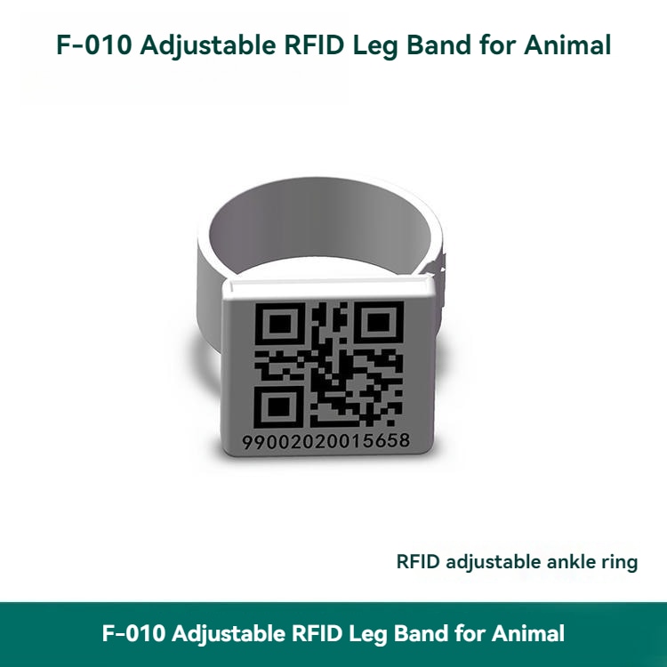 5) ภาพรวมผลิตภัณฑ์หลายชิ้นของห่วงขาสัตว์ปีก UHF RFID ปรับได้กันน้ำ IP67 F010 โดยเน้นหลายชิ้น และสีขาว โดยจัดเรียงให้เปรียบเทียบรายละเอียดได้ชัดเจน สำหรับการระบุตัวสัตว์และงานปศุสัตว์ และการติดตามผ้าและเสื้อผ้า.