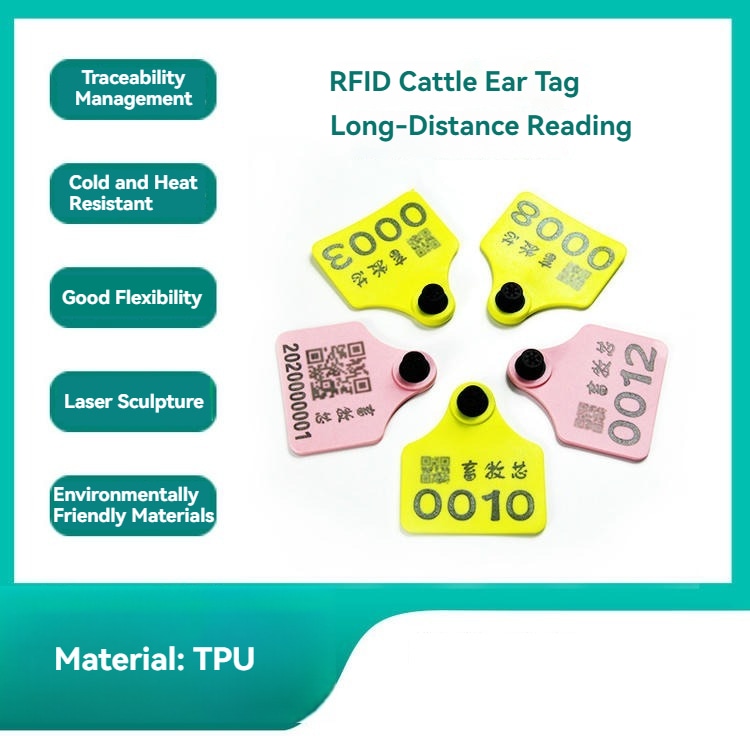 กลุ่มแท็กหู RFID สำหรับสัตว์ E006 ในสีเหลือง ส้ม และแดง สำหรับการจำแนกด้วยสายตาและการติดตามอย่างปลอดภัย