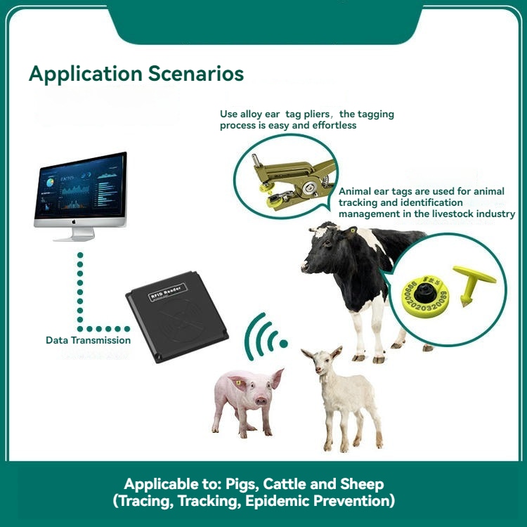 กลุ่มแท็กหู RFID E005 ที่แข็งแรงแสดงโครงสร้างกันกัดที่ทนทานซึ่งสร้างขึ้นเพื่อการระบุตัวตนปศุสัตว์ที่มีประสิทธิภาพสูง
