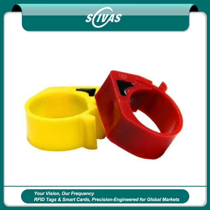 1) ภาพนี้แสดงห่วงขาไก่ LF RFID ตาม ISO11784/11785 F-020 ABS โดยเน้นสีเหลือง ตัวเรือน ABS ขนาดกะทัดรัด สัดส่วนและขนาดของผลิตภัณฑ์ และสีและรายละเอียดที่มองเห็นชัด สำหรับการระบุตัวสัตว์และงานปศุสัตว์ และการติดตั้งกลางแจ้งและบนพื้นผิวงานก่อสร้าง.
