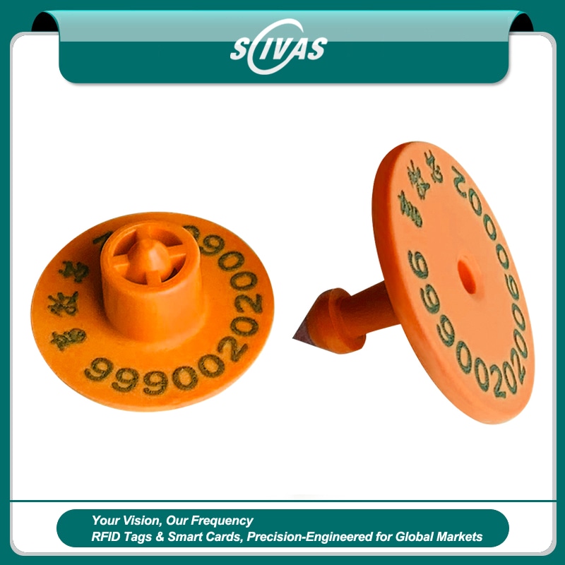 1) ภาพนี้แสดงแท็กหูสัตว์ UHF RFID สำหรับติดตามฝูง E-019 โดยเน้นสีส้ม.