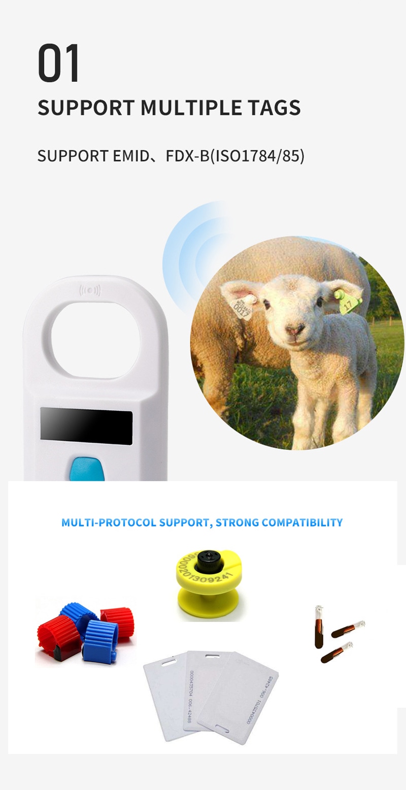 ภายในกล่องบรรจุภัณฑ์สินค้าแสดงเครื่องอ่าน W90A สายชาร์จ USB และคู่มือการใช้งานจัดเรียงอย่างเรียบร้อย